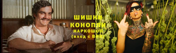 спиды Горняк