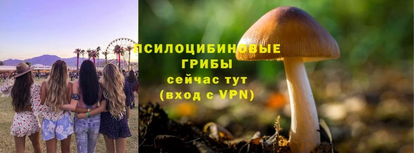 таблы Горнозаводск