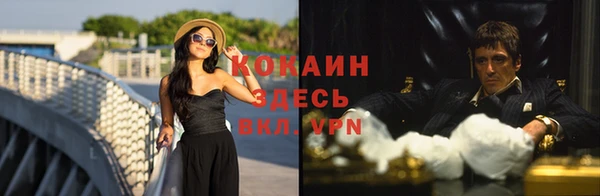 ГАЛЛЮЦИНОГЕННЫЕ ГРИБЫ Верея