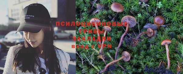 ПСИЛОЦИБИНОВЫЕ ГРИБЫ Вязьма