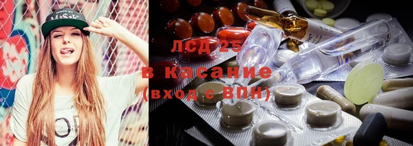 шишки Вяземский