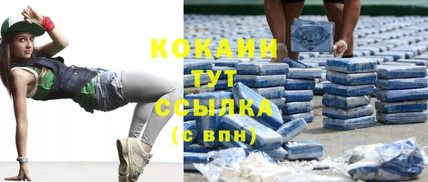 шишки Вяземский