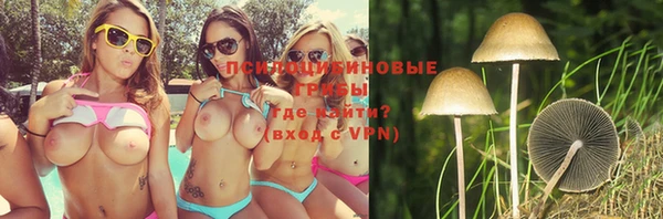 шишки Вяземский
