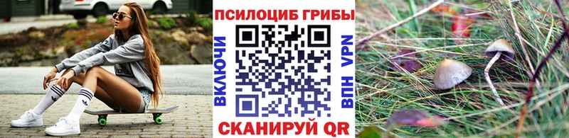 Галлюциногенные грибы прущие грибы  Еманжелинск 